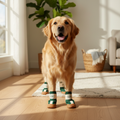 HomeGrip Anti-Slip Dog Booties on golden retriever standing on hardwood floor